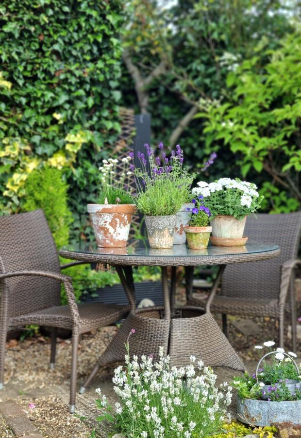 Owl Lodge Newport Pagnell Ngoại thất bức ảnh