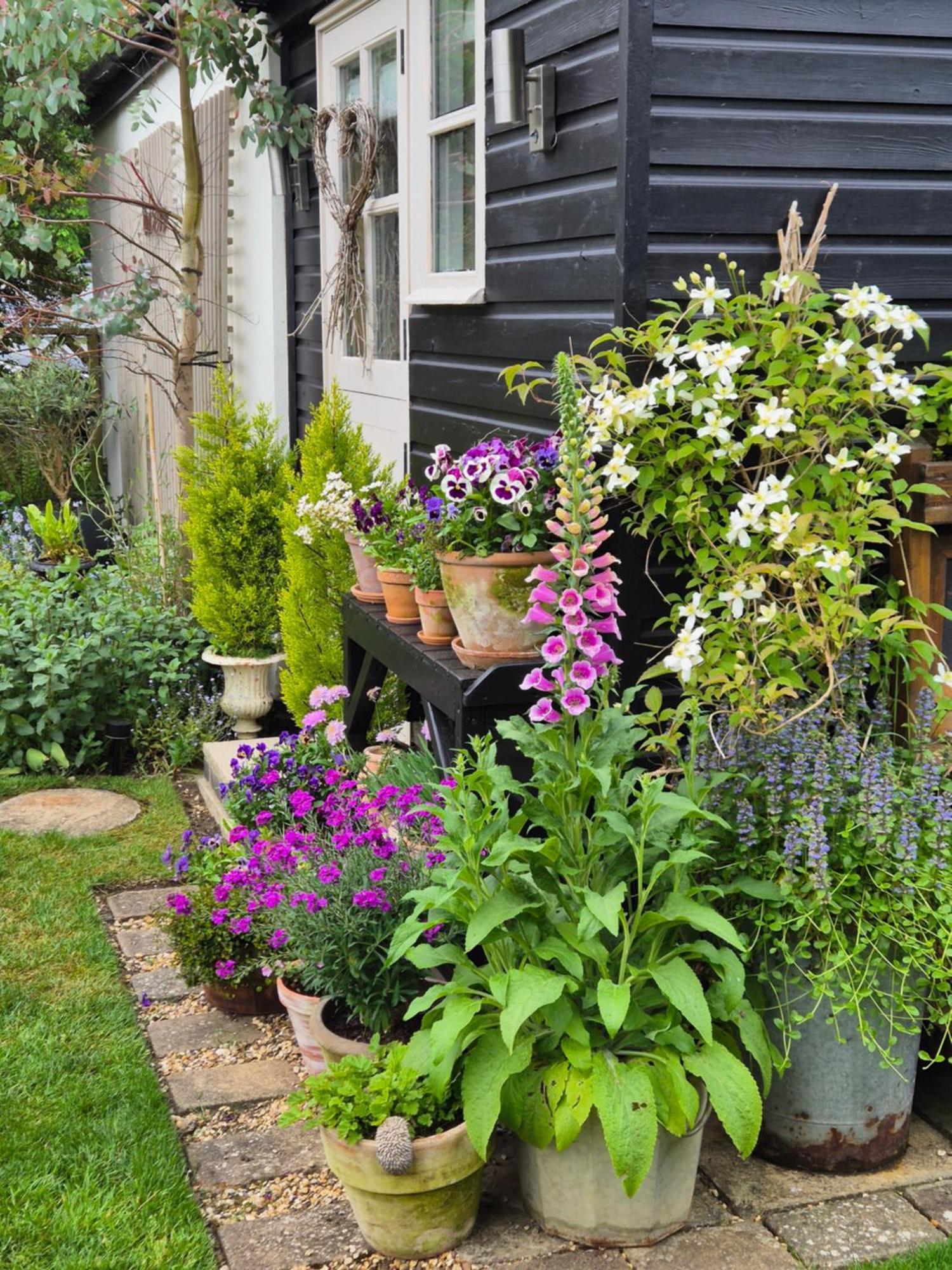 Owl Lodge Newport Pagnell Ngoại thất bức ảnh
